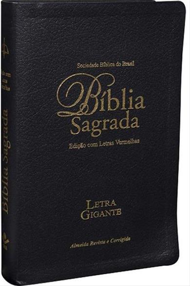 BIB.LETRA GIGANTE REVISTA E CORRIGIDA