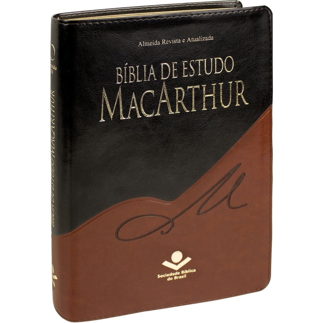 BIB. DE ESTUDO MACARTHUR 
