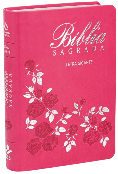 BÍBLIA LETRA GIGANTE CAPA PINK_FLOR